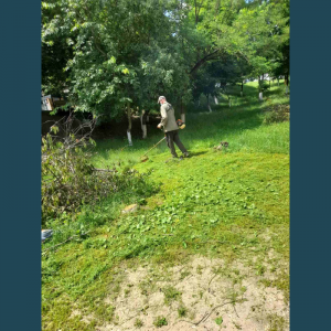 Cositul ierbii de pe terenurile aferente/adiacente ale instituțiilor de învățământ – etapa a treia !