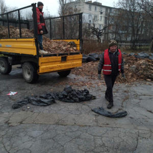 Salubrizarea și evacuarea frunzișului de pe terenul aferent/adiacent al gimnaziului „ St. Grama”, str.M.Dragan, 16/2