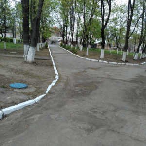 Finalizarea Campaniei municipale „Curățenia generală de primăvară” în gimnaziul „Steliana Grama”